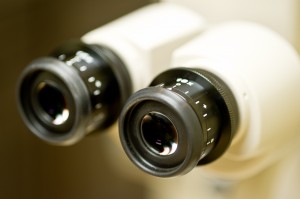 Electra_misc_017